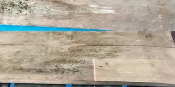 Ta bort mögel med laser